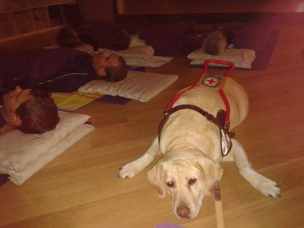 I nostri primi 5 anni